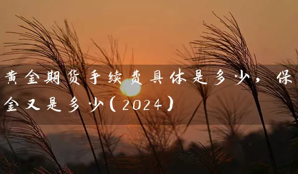 黄金期货手续费具体是多少，保证金又是多少（2024）_https://www.qdjntc.com_纯碱期货_第1张