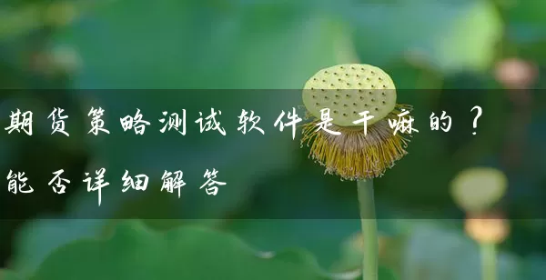 期货策略测试软件是干嘛的？能否详细解答_https://www.qdjntc.com_纯碱期货_第1张